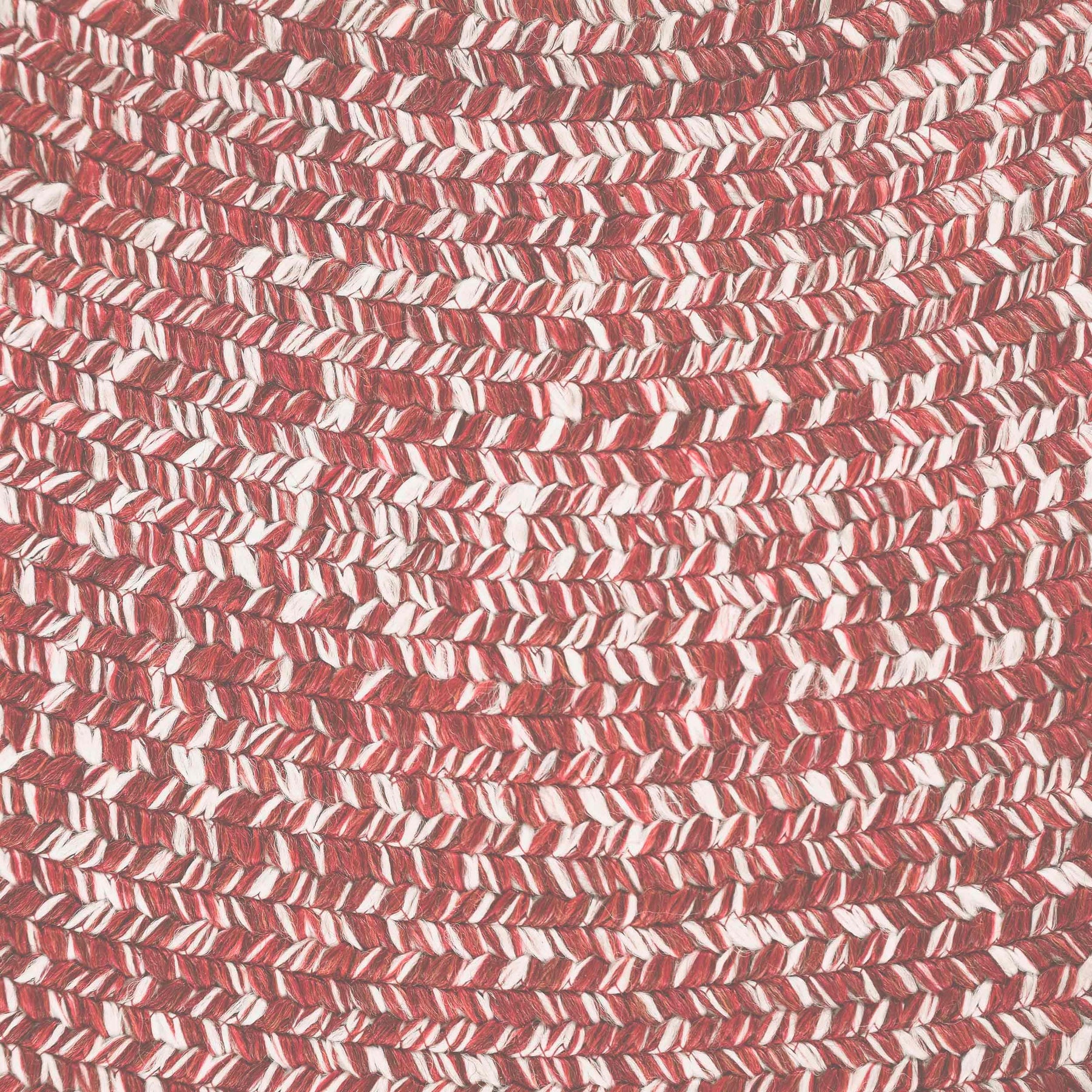 Reversible Braided Eco-Friendly Area Rug Indoor Outdoor Rugs