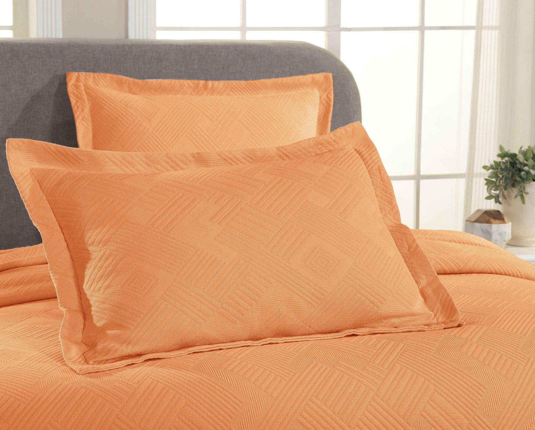 Cotton Jacquard Matelassé Scalloped Geometric Fret Bedspread Set