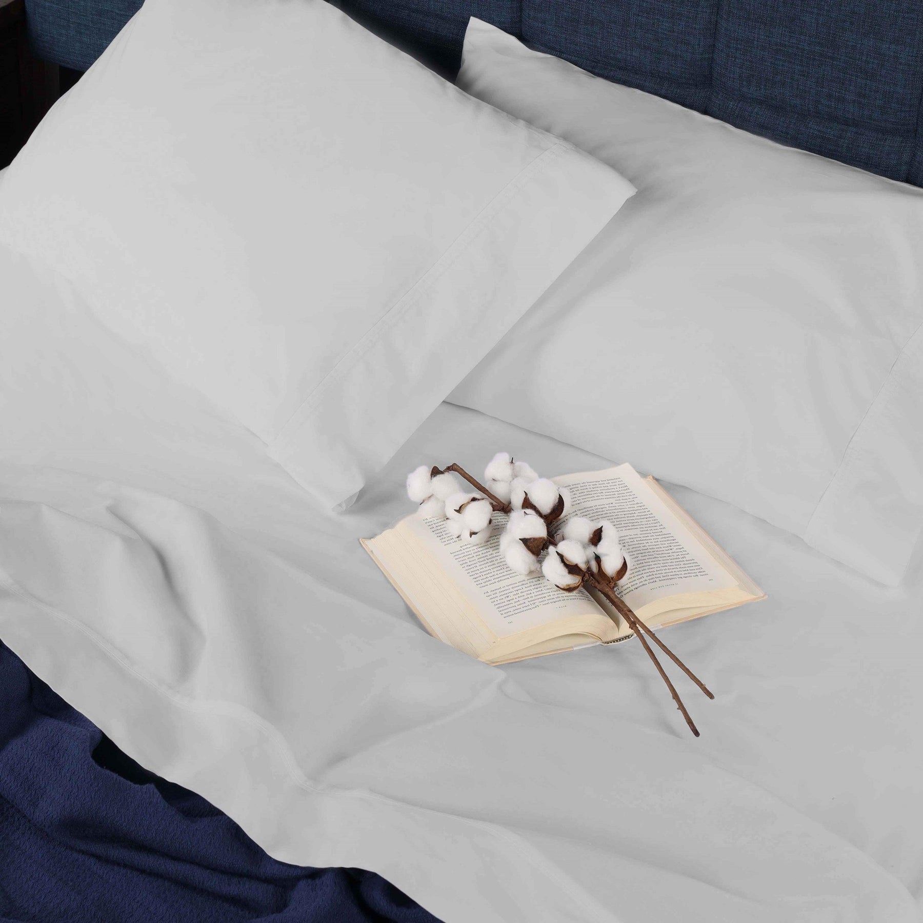 Gina Organic Cotton 300 Thread Count Percale Deep Pocket Bed Sheet Set