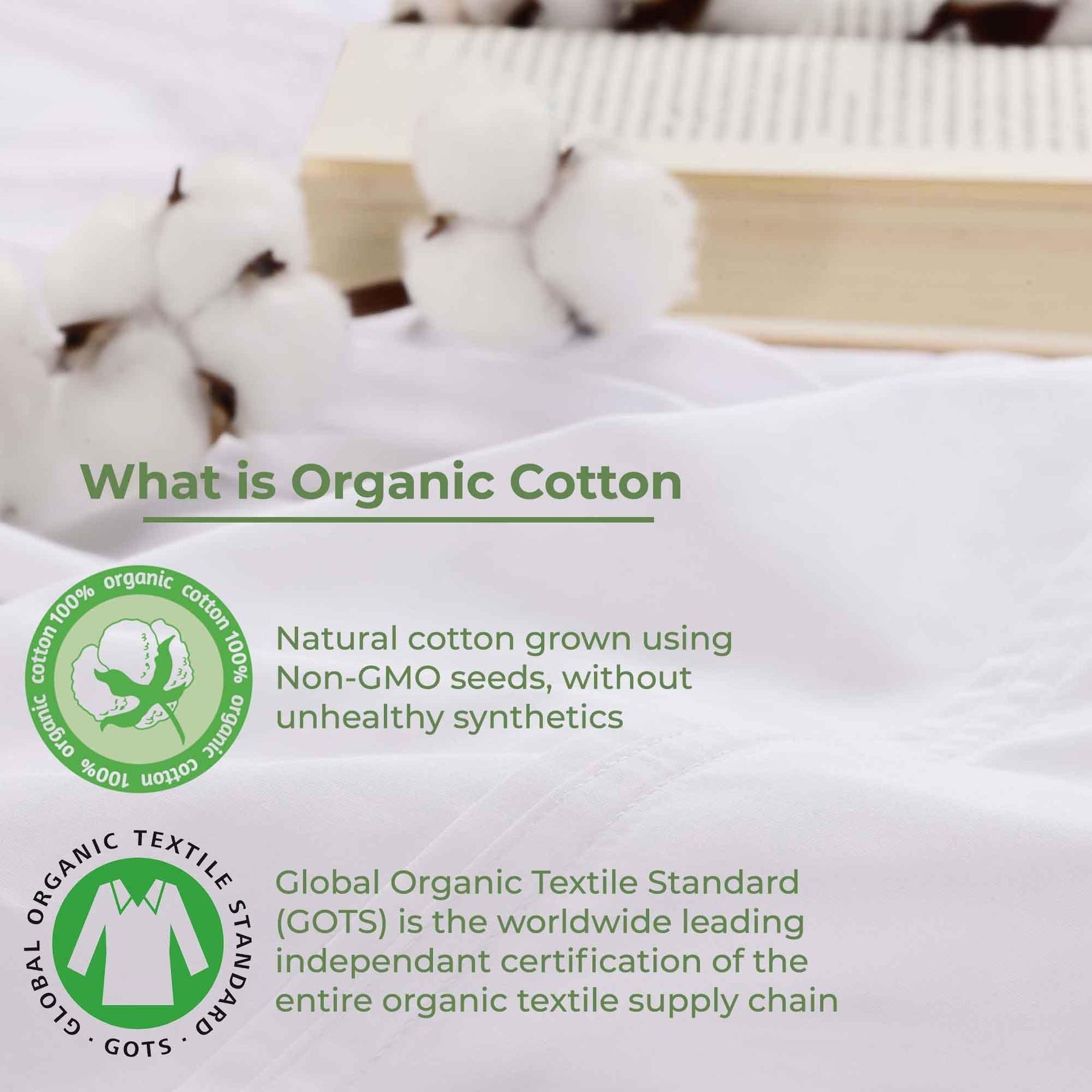 Gina Organic Cotton 300 Thread Count Percale Deep Pocket Bed Sheet Set