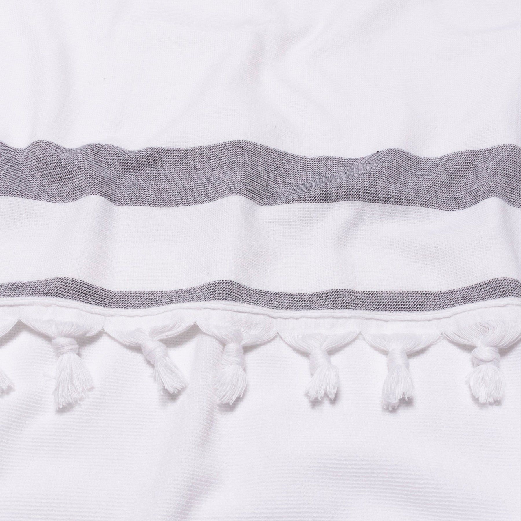 Tropical Cabana Stripe Fouta 2 Piece Beach Towel with Tassels
