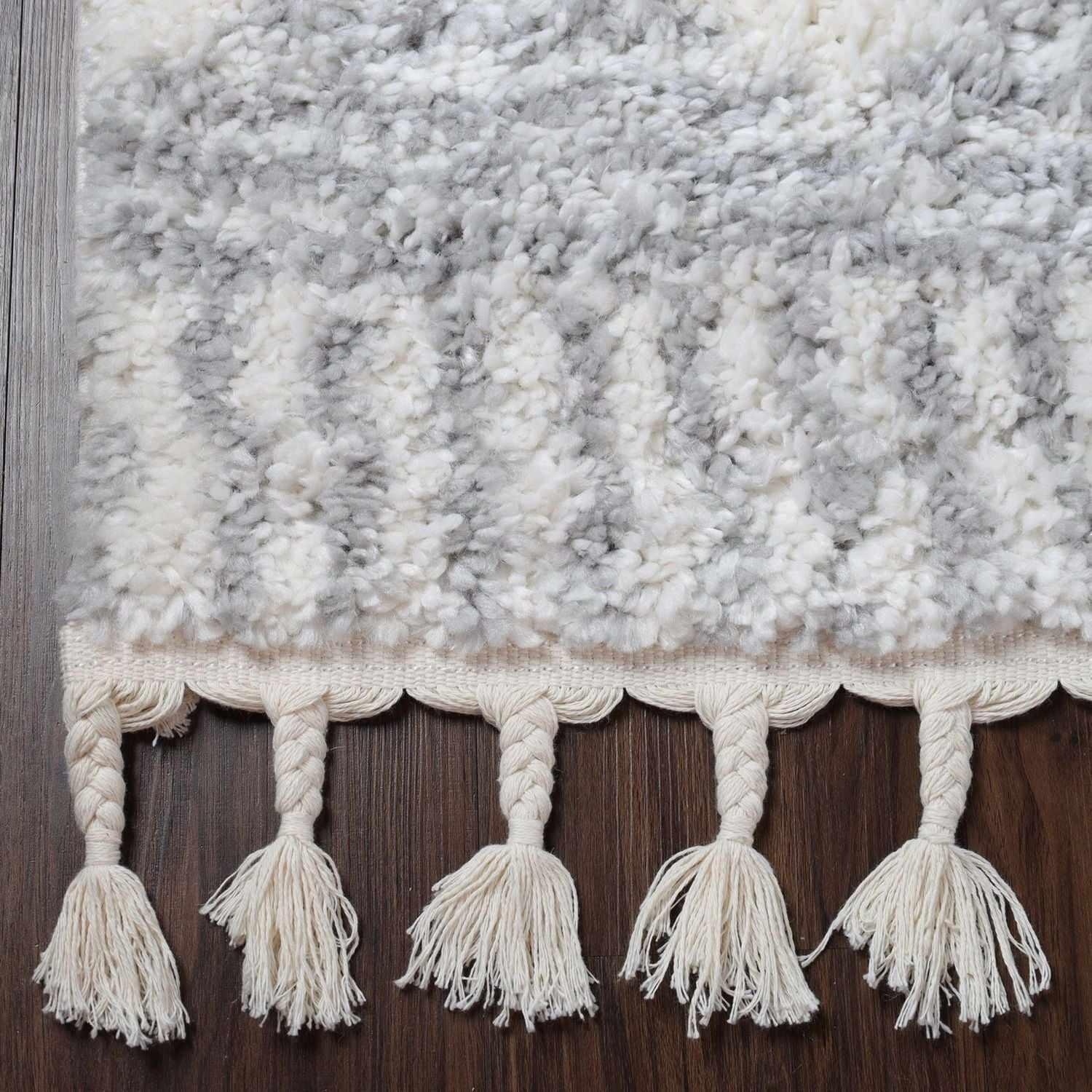 Bohemian Geometric Indoor Plush Shag Area Rug with Tassels