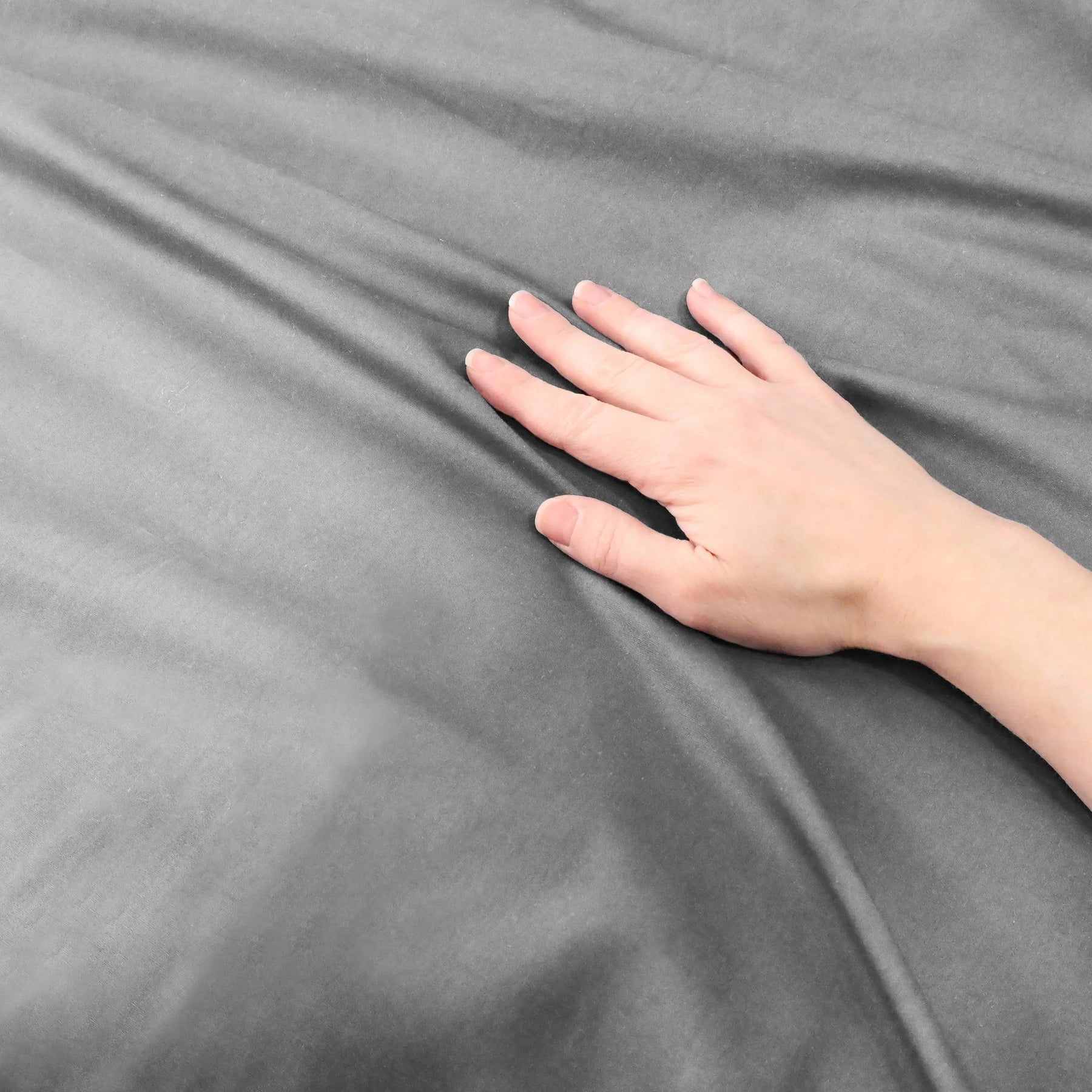 Cotton Percale Modern Traditional Duvet Cover Set