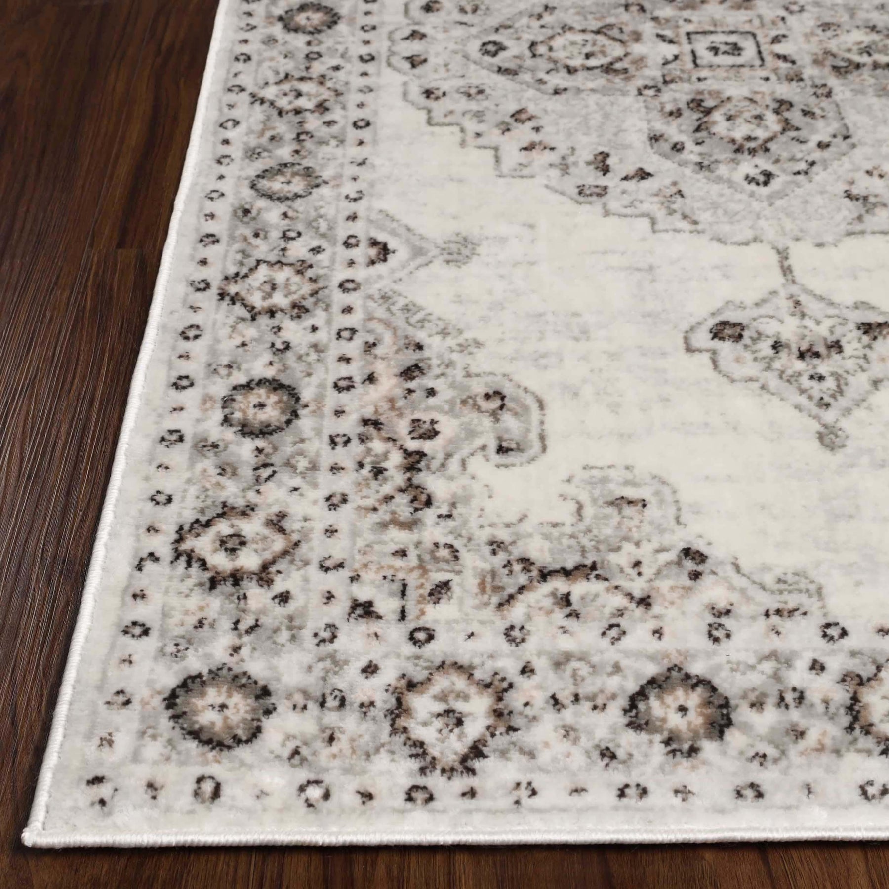 Demelza Vintage Traditional Oriental Medallion Indoor Area Rug or Runner