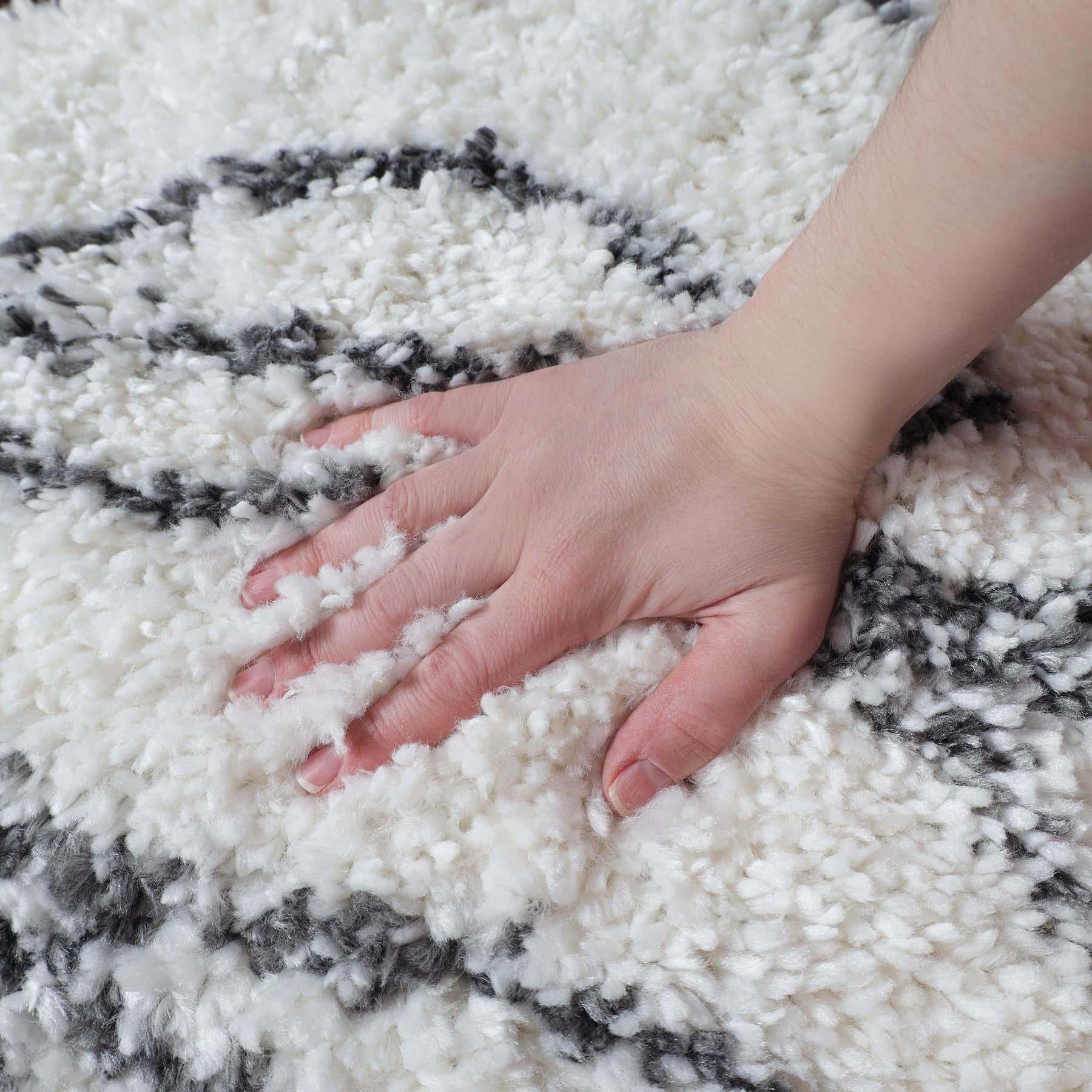 Flora Botanical Plush Shag Rugs Transitional Floral Indoor Area Rug