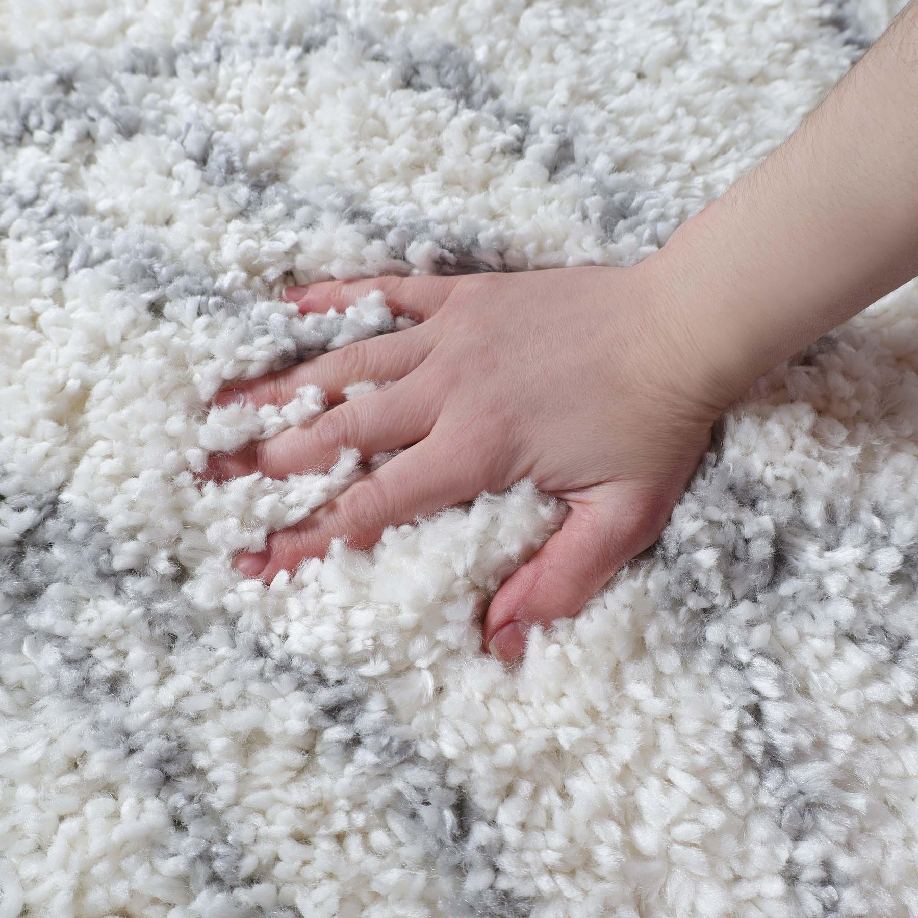 Flora Botanical Plush Shag Rugs Transitional Floral Indoor Area Rug