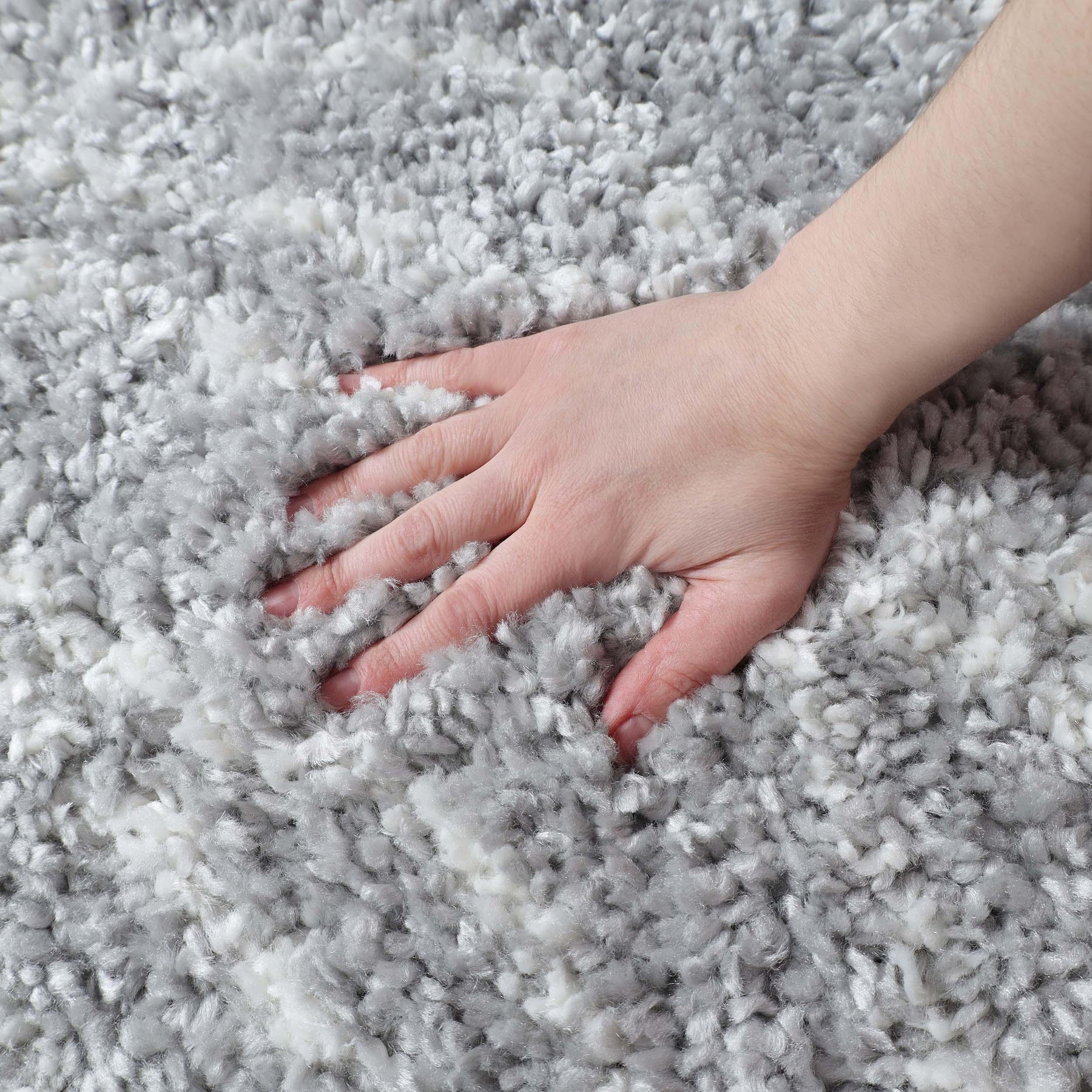 Flora Botanical Plush Shag Rugs Transitional Floral Indoor Area Rug