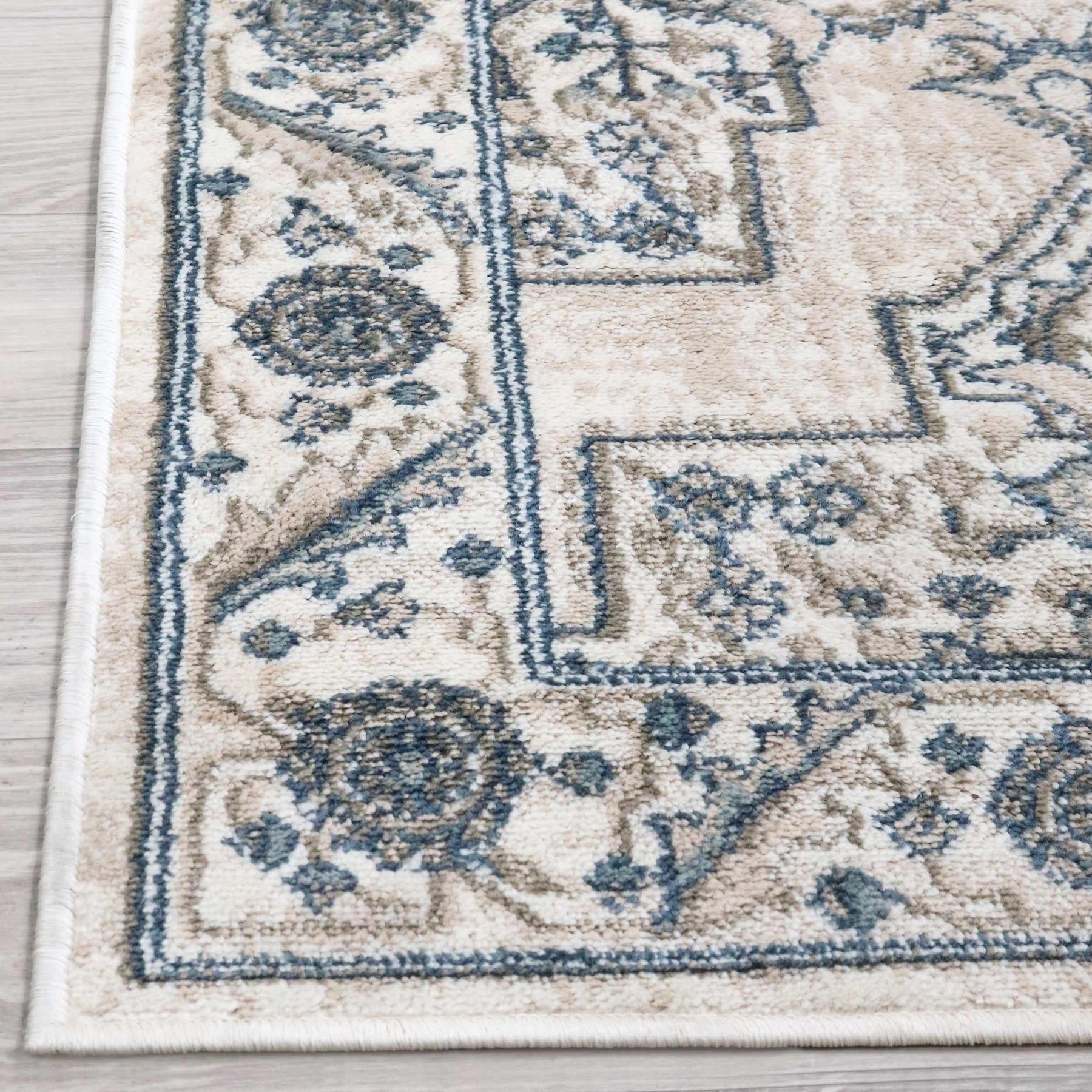 Traditional Geometric Floral Medallion Indoor Area Rug