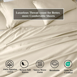 Egyptian Cotton Sateen Sheet Set 650 Thread Count