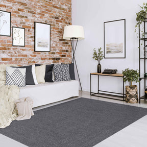 Bohemian Indoor Outdoor Rugs Solid Rectangle Braided Area Rug