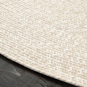 Reversible Braided Eco-Friendly Area Rug Indoor Outdoor Rugs