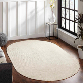 Reversible Braided Eco-Friendly Area Rug Indoor Outdoor Rugs