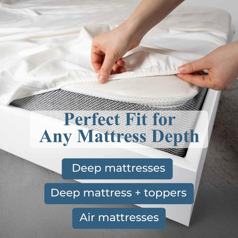 Pavo 100% Cotton 700 Thread Count Fitted Sheet - 18" & 20" Extra Deep Pocket Options