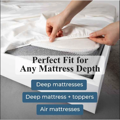 Apus 100% Cotton 500 Thread Count Fitted Sheet - 18" & 20" Extra Deep Pocket Options