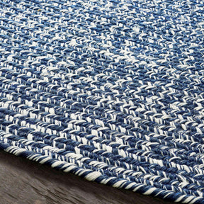 Reversible Braided Eco-Friendly Area Rug Indoor Outdoor Rugs