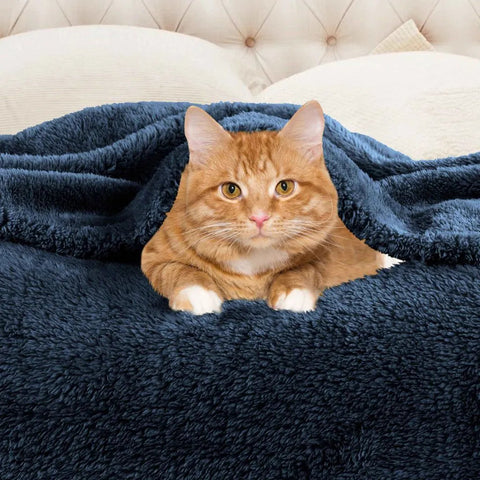 Fleece Plush Medium Weight Fluffy Soft Solid Decorative Blanket