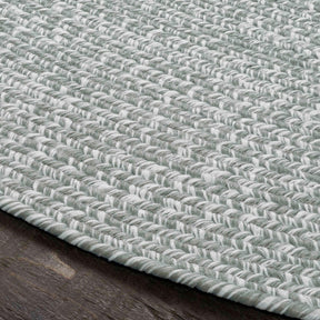 Reversible Braided Eco-Friendly Area Rug Indoor Outdoor Rugs