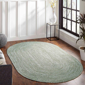 Reversible Braided Eco-Friendly Area Rug Indoor Outdoor Rugs