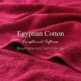Heritage Egyptian Cotton Plush Thick Absorbent Bath Towel Set of 2