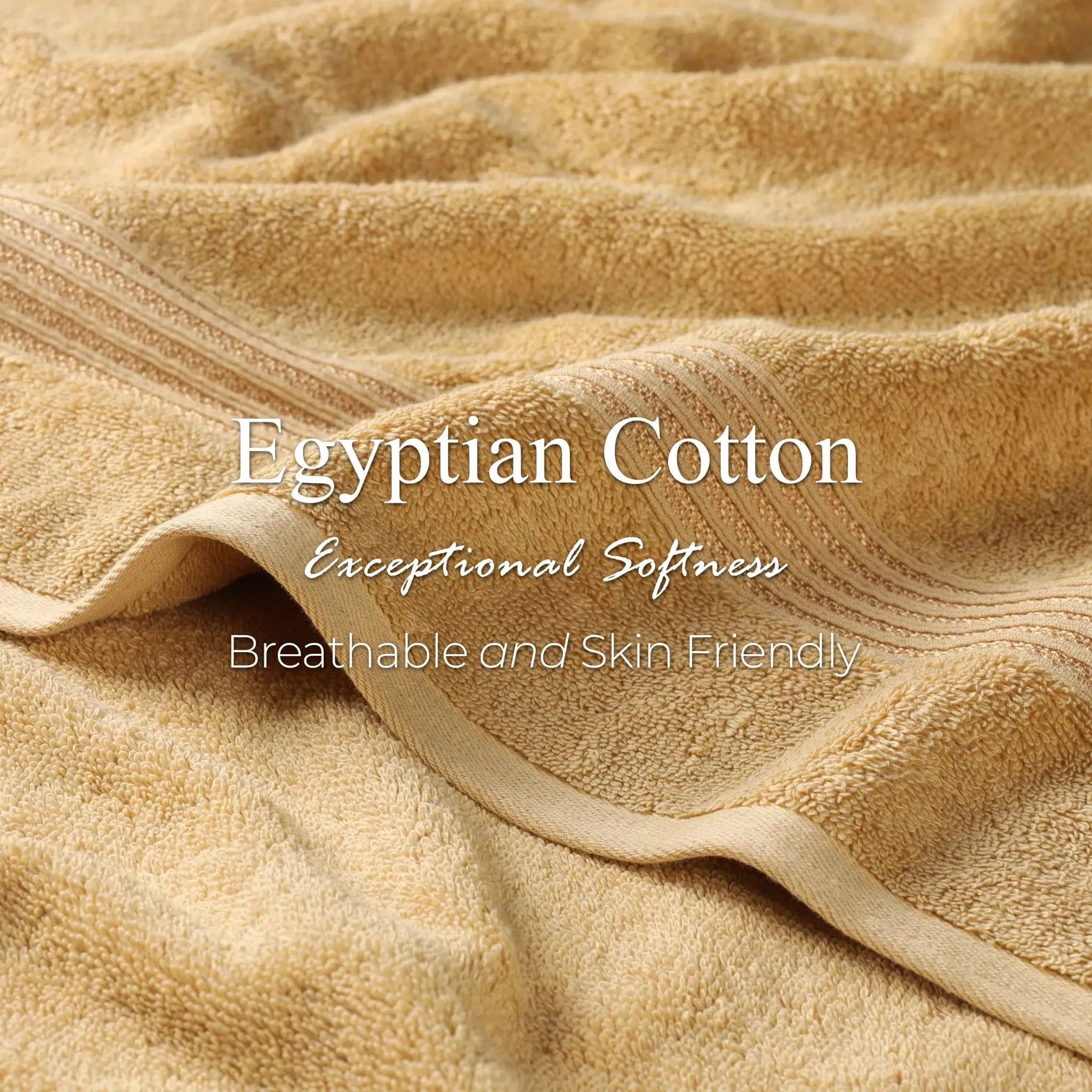 Heritage Egyptian Cotton Plush Thick Absorbent Hand Towel Set of 8