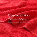 Egyptian Cotton Plush Absorbent Luxury Bath Towel Set of 4