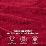 Fleece Plush Medium Weight Fluffy Soft Solid Decorative Blanket