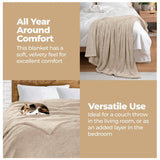 Fleece Plush Medium Weight Fluffy Soft Solid Decorative Blanket
