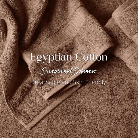 Egyptian Cotton Bath Towels Plush Absorbent Set of 2 Madison