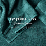 Madison Egyptian Cotton Plush Thick Absorbent Bath Towel Set of 2