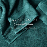 Egyptian Cotton Bath Towels Plush Absorbent Set of 2 Madison