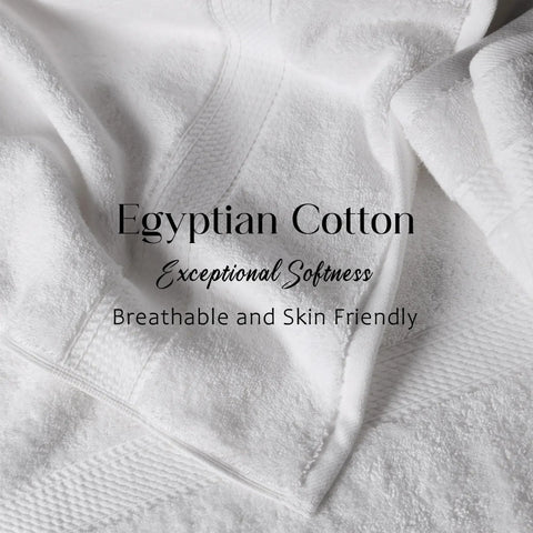 Egyptian Cotton Bath Towels Plush Absorbent Set of 2 Madison