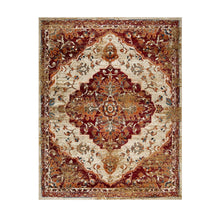 Abena Traditional Medallion Indoor Area Rugs or Runner Rug