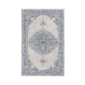 Demelza Vintage Traditional Oriental Medallion Indoor Area Rug or Runner