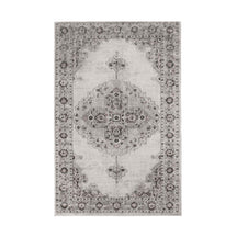 Demelza Vintage Traditional Oriental Medallion Indoor Area Rug or Runner