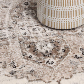 Demelza Vintage Traditional Oriental Medallion Indoor Area Rug or Runner