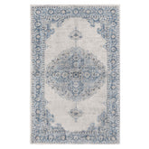 Demelza Vintage Traditional Oriental Medallion Indoor Area Rug or Runner
