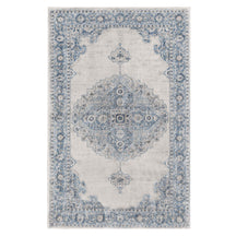 Demelza Vintage Traditional Oriental Medallion Indoor Area Rug or Runner