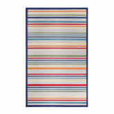 Eastyn Casual Stripe Geometric Area Rug Indoor Outdoor Rugs