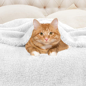 Fleece Plush Medium Weight Fluffy Soft Solid Decorative Blanket
