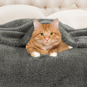 Fleece Plush Medium Weight Fluffy Soft Solid Decorative Blanket
