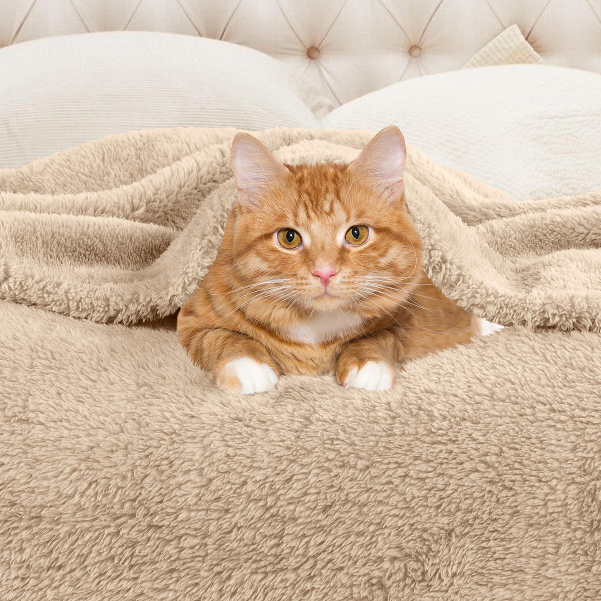 Fleece Plush Medium Weight Fluffy Soft Solid Decorative Blanket