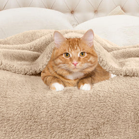 Fleece Plush Medium Weight Fluffy Soft Solid Decorative Blanket