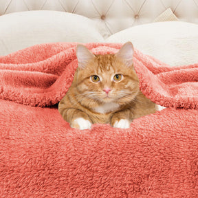 Fleece Plush Medium Weight Fluffy Soft Solid Decorative Blanket