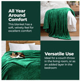 Fleece Plush Medium Weight Fluffy Soft Solid Decorative Blanket
