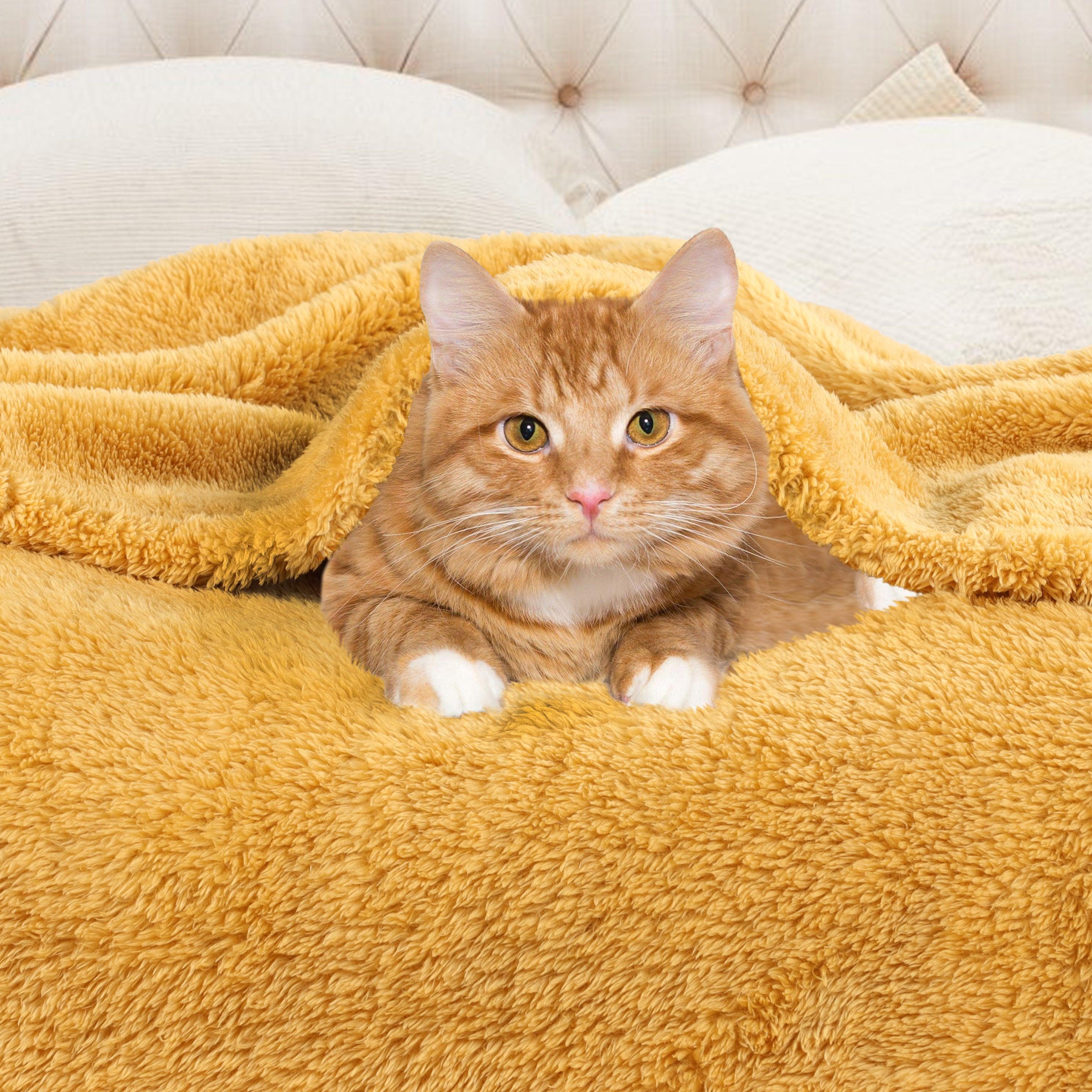 Fleece Plush Medium Weight Fluffy Soft Solid Decorative Blanket