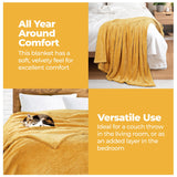 Fleece Plush Medium Weight Fluffy Soft Solid Decorative Blanket