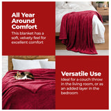 Fleece Plush Medium Weight Fluffy Soft Solid Decorative Blanket