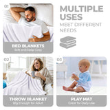 Jena Cotton Textured Chevron Lightweight Woven Blanket