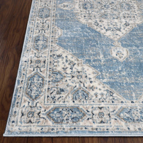 Kailani Modern Farmhouse Medallion Indoor Area Rug or Runner