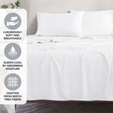 Modal from Beechwood 300 Thread Count Solid 2 Piece Pillowcase Set